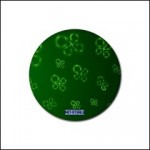 Net-Steals New 4-pack Rubber Round Coaster "Green Glow"